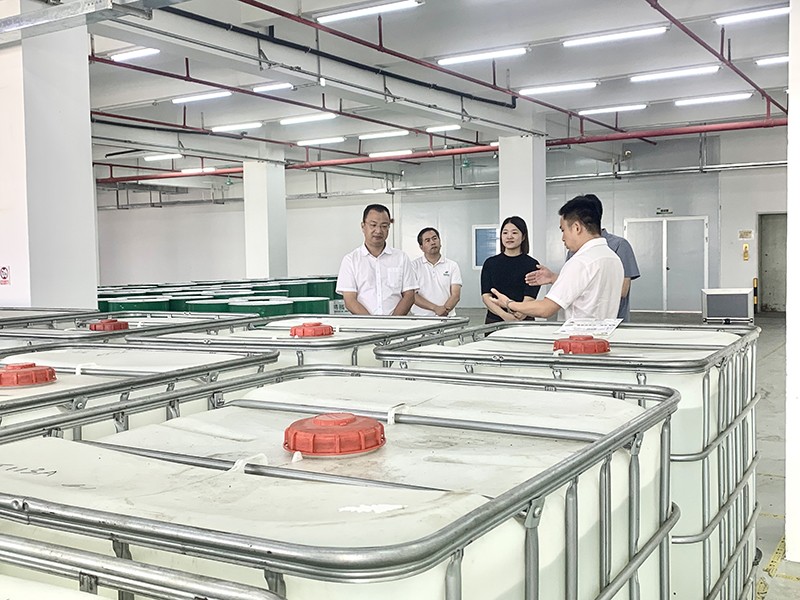 政企连心·共促发展|东莞市东城区政府领导莅临ks凯时新材参观指导